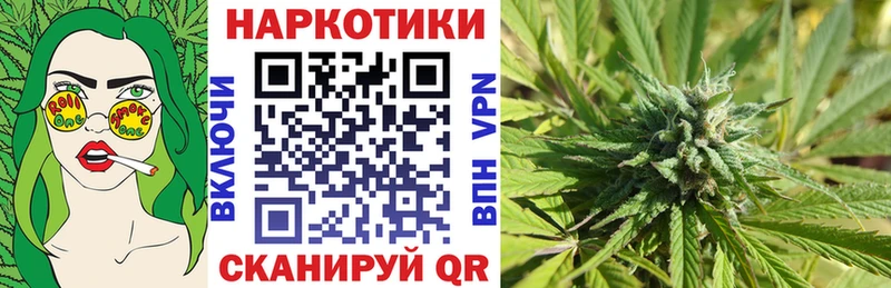 Какие есть наркотики Снежногорск Псилоцибиновые грибы  Марихуана  Меф  Гашиш  А ПВП 