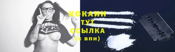 ГАЛЛЮЦИНОГЕННЫЕ ГРИБЫ Арсеньев