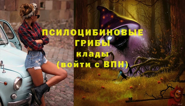 кокс Армянск
