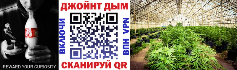Конопля Bruce Banner  Снежногорск 